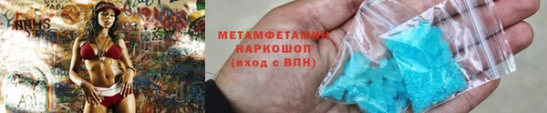 прущие грибы Медвежьегорск