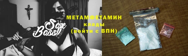 прущие грибы Медвежьегорск