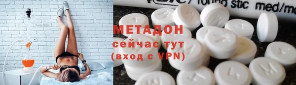 прущие грибы Медвежьегорск
