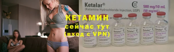 прущие грибы Медвежьегорск
