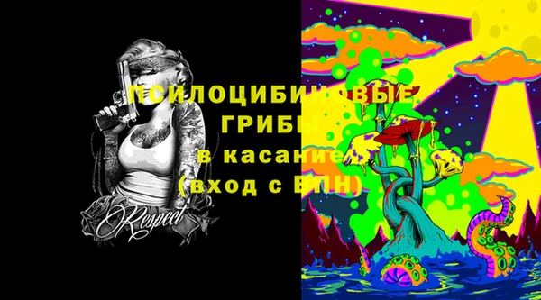 прущие грибы Медвежьегорск