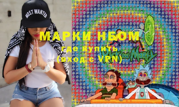 прущие грибы Медвежьегорск