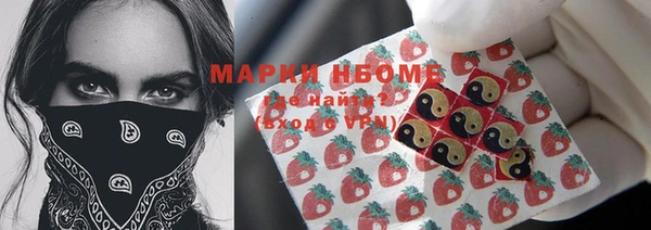 прущие грибы Медвежьегорск
