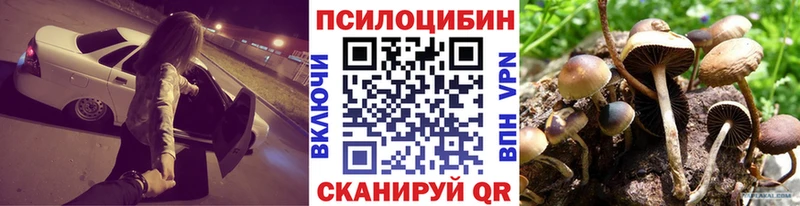 Купить закладки  Ветлуга  Галлюциногенные грибы мицелий 